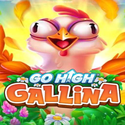 GoHighGallina: An Immersive Casino Gaming Experience