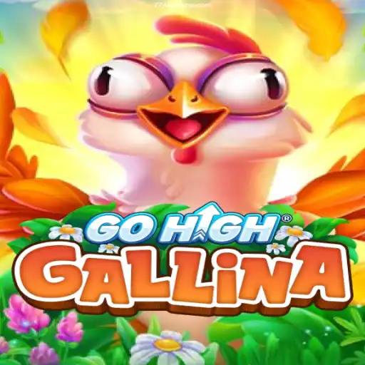 GoHighGallina: An Immersive Casino Gaming Experience